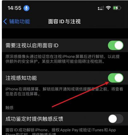 鄂托克前苹果14维修网点分享iPhone14注视感知功能有什么用 